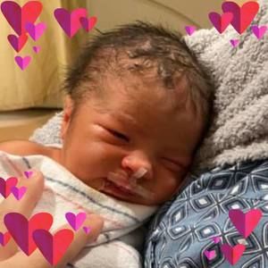 Meet your Posher, Ellen